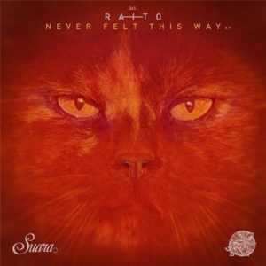 Raito - Never Felt This Way EP