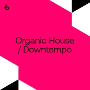 Beatport In The Remix 2021: Organic H/D November 2021
