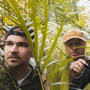 Mat.Joe SUNFLOWER POWER CHARTS